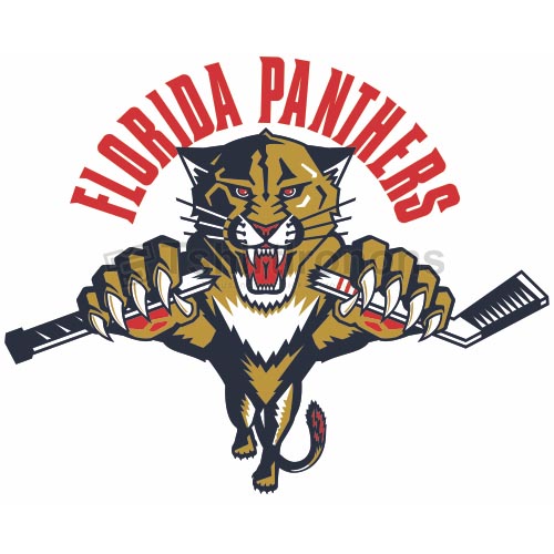 Florida Panthers T-shirts Iron On Transfers N163